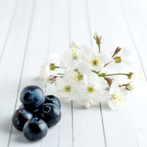 white-cherry-blossom-blueberry-close-up